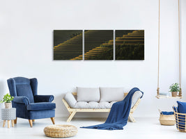 panoramic-3-piece-canvas-print-landing-fields-at-sunrise-beautiful-golden-light-shines