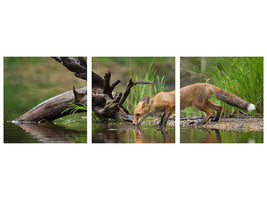 panoramic-3-piece-canvas-print-red-fox-ii