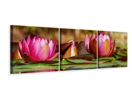 panoramic-3-piece-canvas-print-red-water-lily-trio