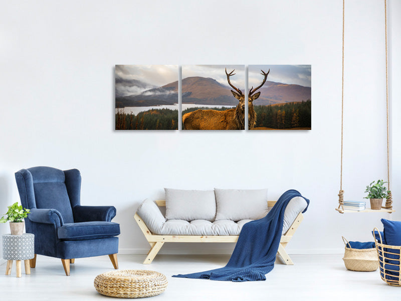 panoramic-3-piece-canvas-print-scottish-stag