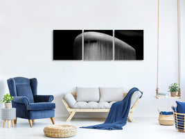 panoramic-3-piece-canvas-print-shining-home