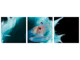 panoramic-3-piece-canvas-print-shrimp-in-a-blue-sponge