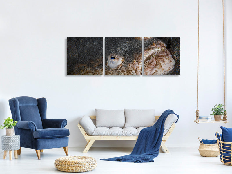 panoramic-3-piece-canvas-print-stargazer