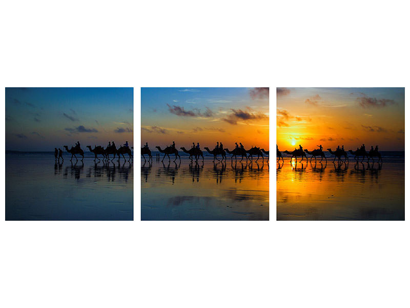 panoramic-3-piece-canvas-print-sunset-camel-ride