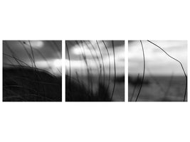 panoramic-3-piece-canvas-print-the-wind-brings-the-night