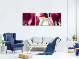 panoramic-3-piece-canvas-print-tulip-iv