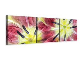 panoramic-3-piece-canvas-print-tulips