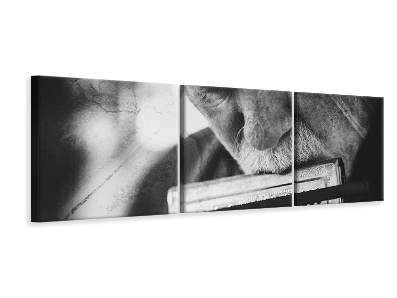 panoramic-3-piece-canvas-print-wolf-with-harmonica