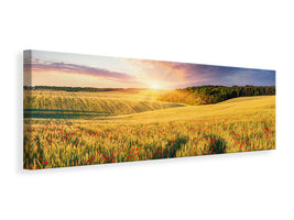 panoramic-canvas-print-a-flower-field-at-sunrise