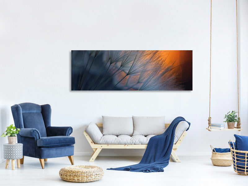 panoramic-canvas-print-feathers-p