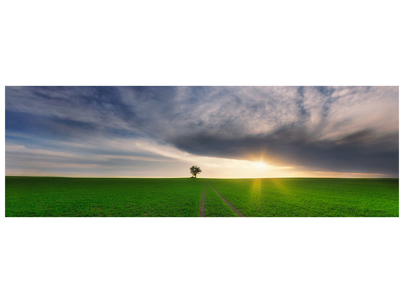panoramic-canvas-print-loner-in-the-sun