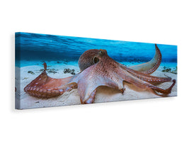 panoramic-canvas-print-octopus