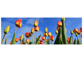 panoramic-canvas-print-tulips-tower-to-the-sky