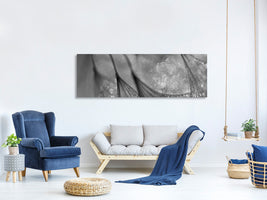 panoramic-canvas-print-untitled-xix